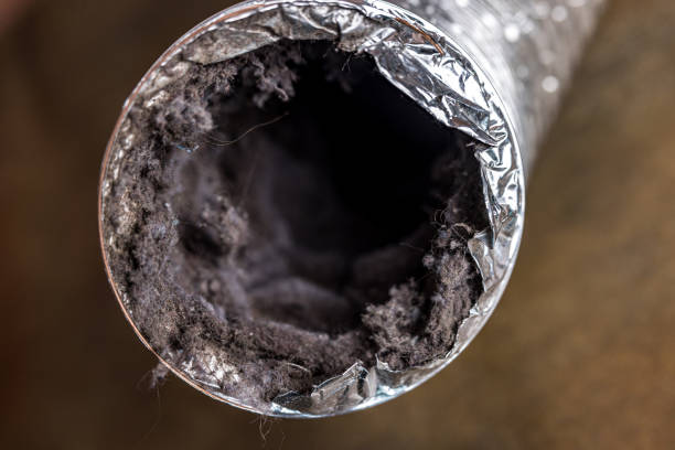 Best Dryer Vent Cleaning Services  in Signal Mountain, TN